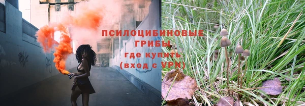 а пвп мука Михайлов