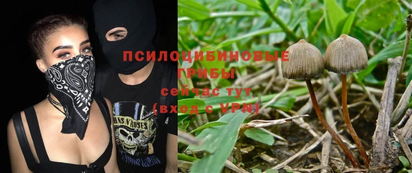 а пвп мука Михайлов