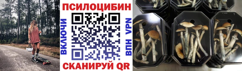 Псилоцибиновые грибы мицелий  Купить закладки  Сыктывкар 
